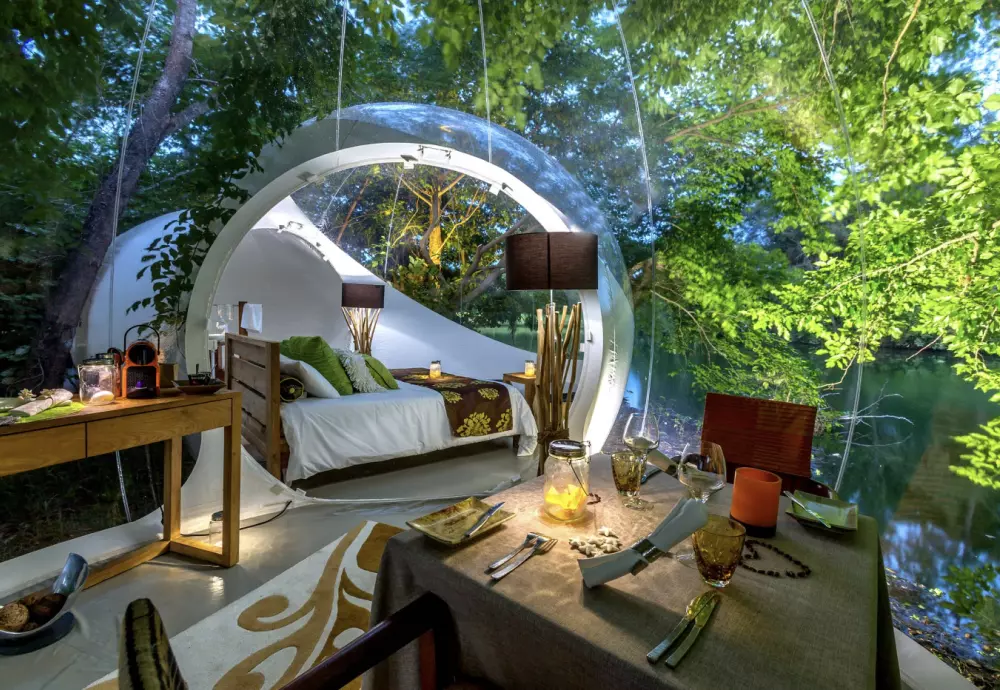 where to buy transparent bubble tent